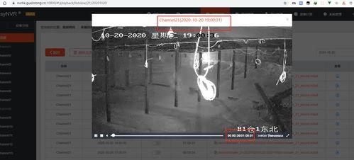 黑天鹅内鬼爆料视频播放,揭秘神秘内鬼爆料视频背后的真相  第1张